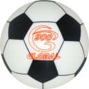 900 Global Soccer Ball